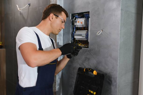 Best Electrical System Inspection  in Hull, IA